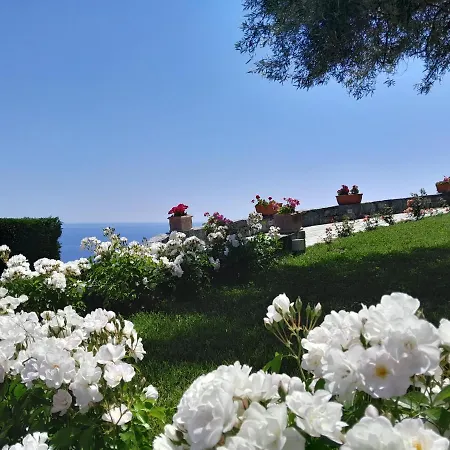 Oda ve Kahvaltı Aga